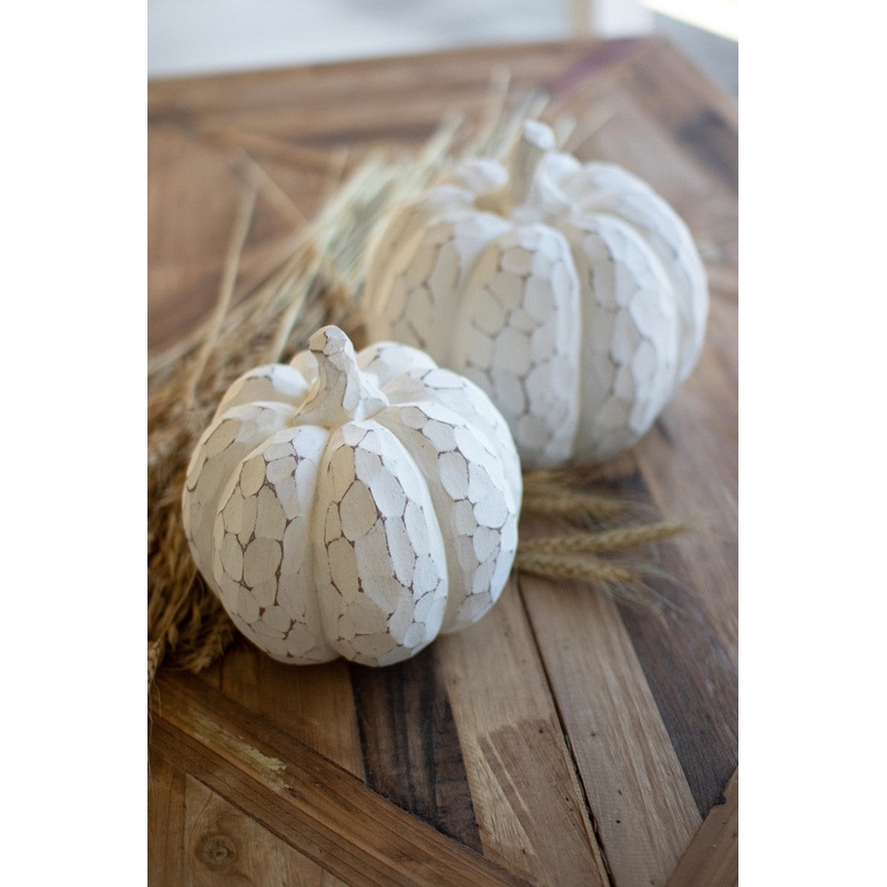 Faux Whitewash Pumpkins Set Of 2 By Kalalou