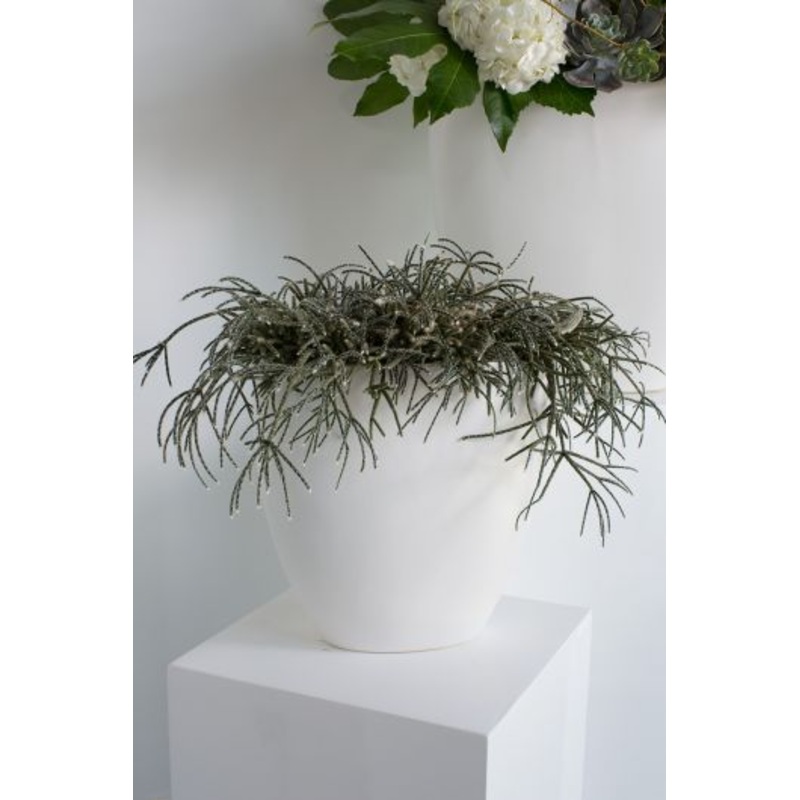 Sasso White Vase By Accent Decpr