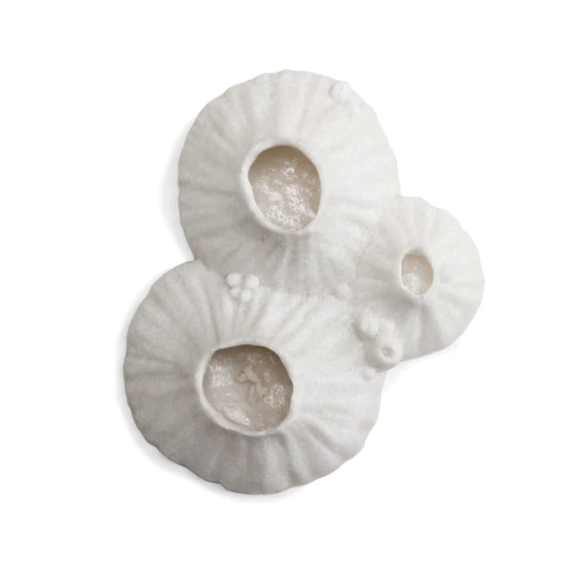 Paleo 6.8"W Wall Art Set Of 2 By Gold Leaf Design Group