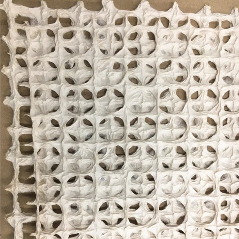 Paper Roll, Masu Cream 98.4"L By Gold Leaf Design Group