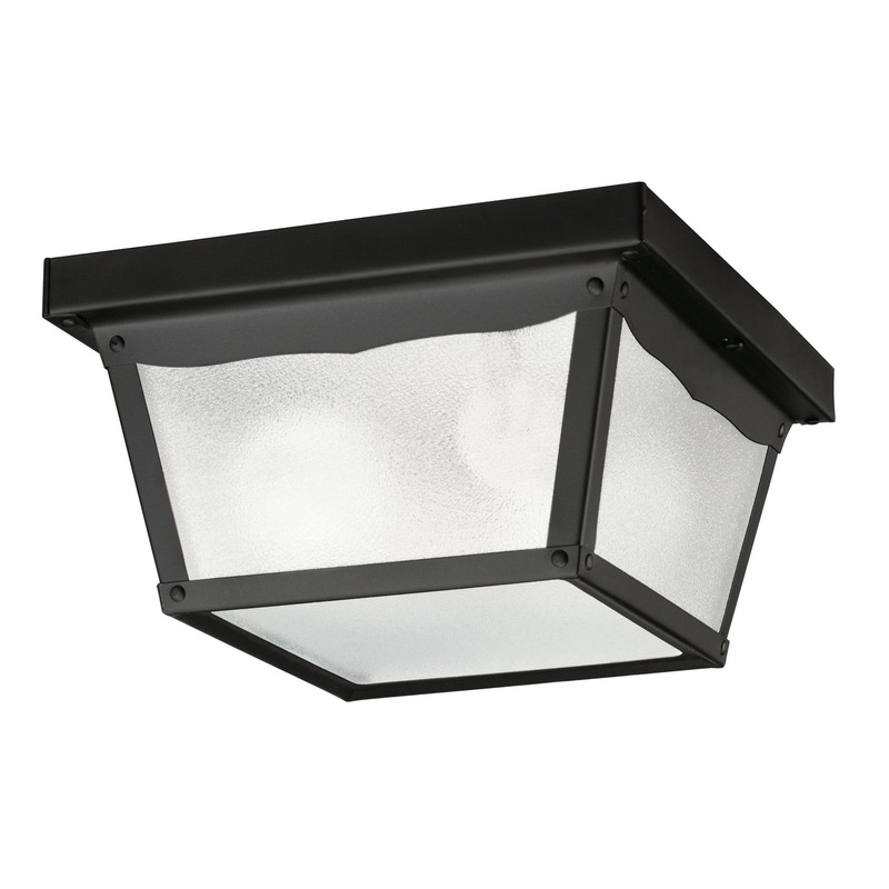 Outdoor Miscellaneous Two Light Outdoor Ceiling Mount in Black